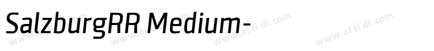 SalzburgRR Medium字体转换